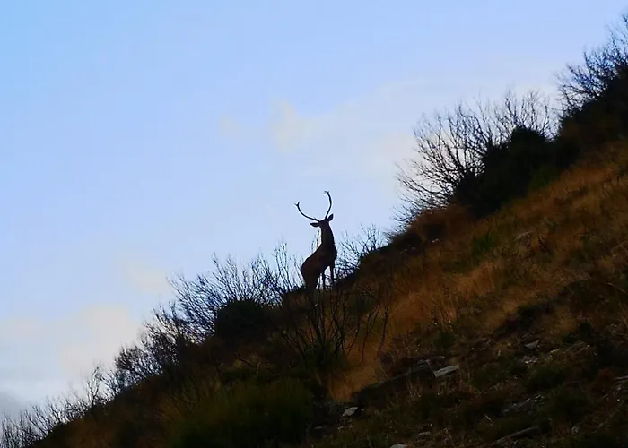 Em Xisto - Casas De Montanha - Casa Xisto Nascente Feriehus *