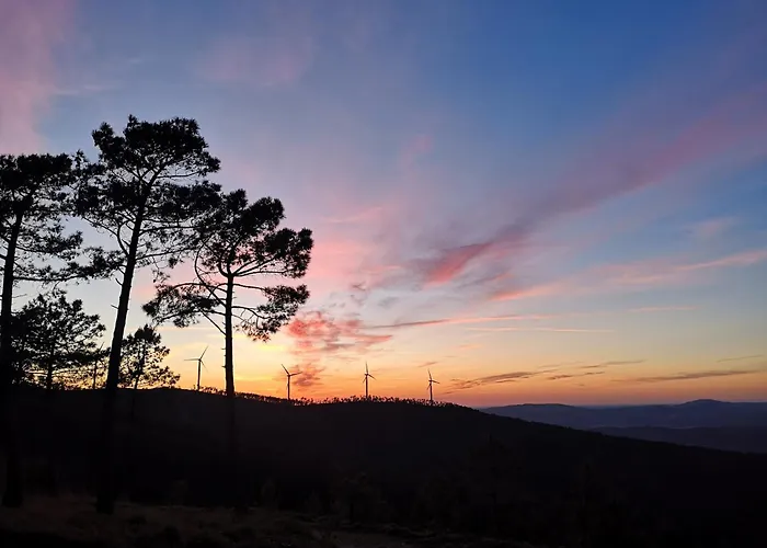 Em Xisto - Casas De Montanha - Casa Xisto Nascente Góis